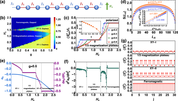 Quantum phase transition and composite excitations of antiferromagnetic spin trimer chains in a magnetic field