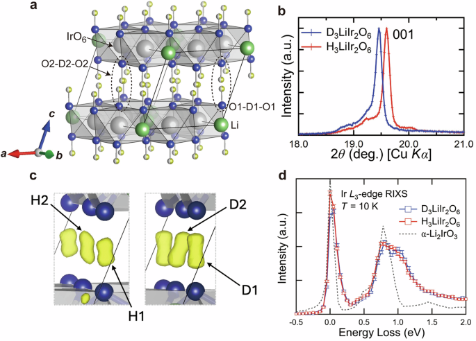 Robust quantum spin liquid state in the presence of giant magnetic isotope effect in D3LiIr2O6