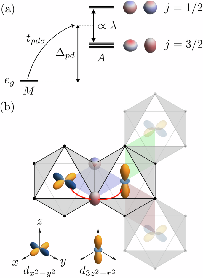 Microscopic roadmap to a Kitaev-Yao-Lee spin-orbital liquid