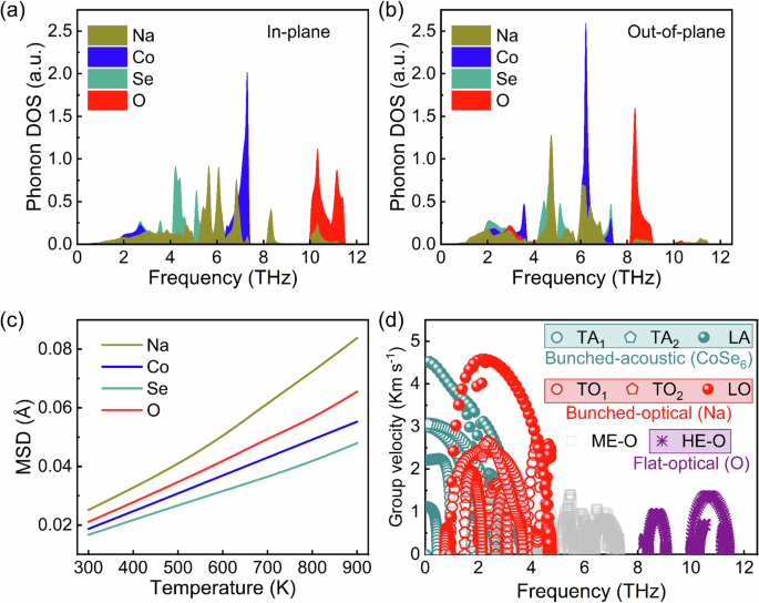 Fig. 3: Effect of phonon bunching and flat bands on atomic vibrations.