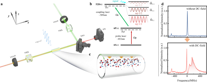 Fig. 1: Schematic diagram of the Rydberg atom receiver based on self-dressing of laser-induced DC field.