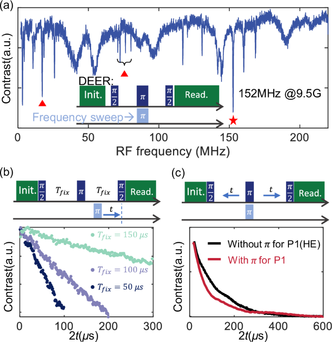 Fig. 2: Characterization of spin-bath-induced dephasing using DEER measurements.