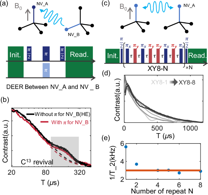 Fig. 3: Measurement of NV-NV dipolar interactions in NV center ensembles.