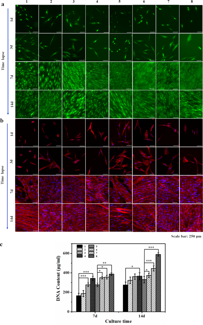 The potential utility of hybrid photo-crosslinked hydrogels with  non-immunogenic component for cartilage repair | npj Regenerative Medicine