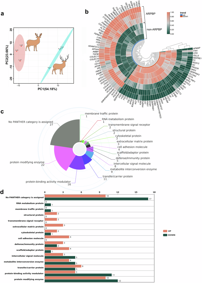 Fig. 8: Regeneration-related protein/polypeptide factors enriched in ARPBP.