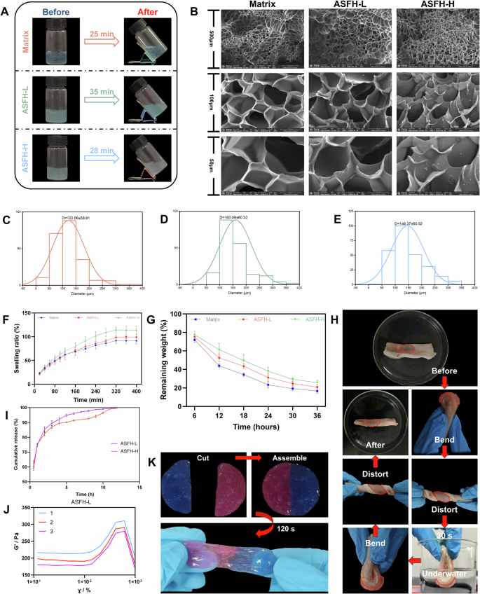 Fig. 2: Physical properties, microstructure, and functional performance of hydrogels.