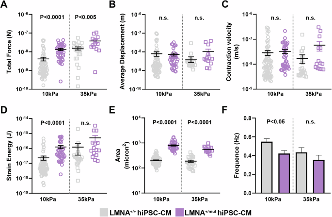 Fig. 3: LMNA+/mut hiPSC-CMs exhibit altered force generation measured by traction force microscopy.