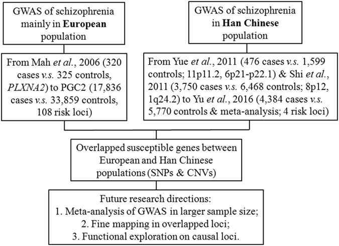 Progress in genome-wide association studies of schizophrenia in ...