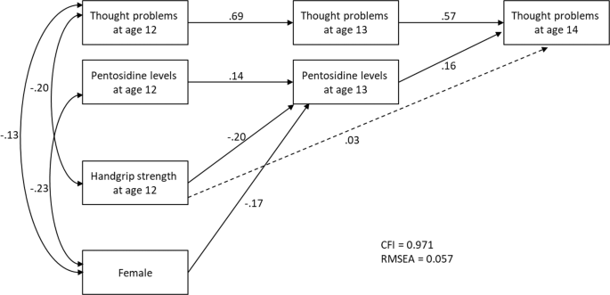 Fig. 2: Path diagram describing the indirect effect between handgrip strength and thought problems via pentosidine.