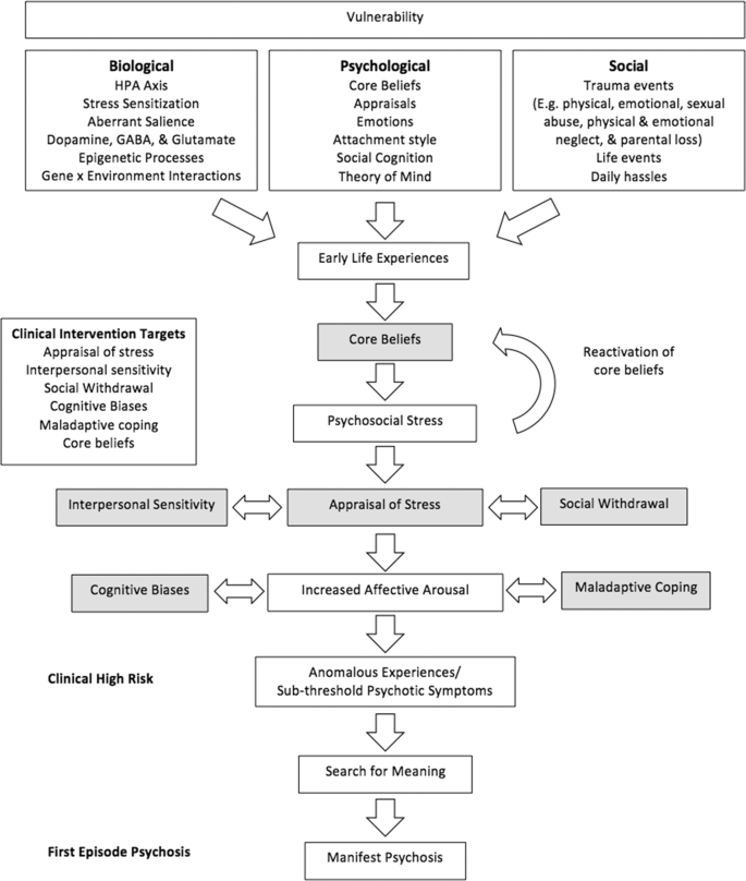 Fig. 2: Bio-psychosocial model of transition to psychosis.
