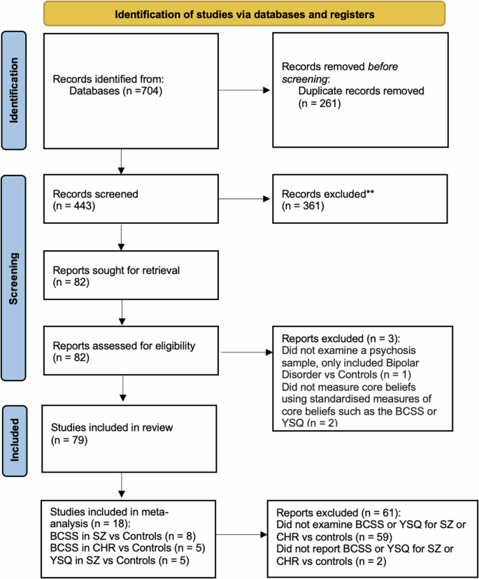 Core beliefs in psychosis: a systematic review and meta-analysis