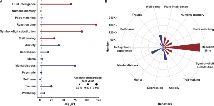 Fig. 2: Associations between PRSSCZ and behavioral phenotypes.