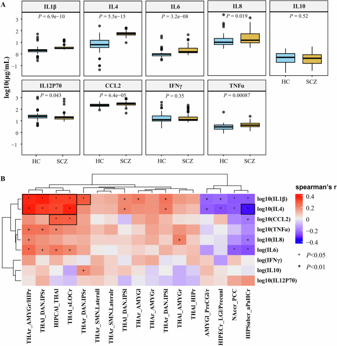 Fig. 4: Serum cytokines and neuroimaging correlations.