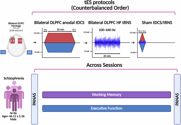 Fig. 2: Experimental procedure.