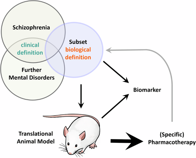 Fig. 1: Reverse-translational precision psychiatry framework.