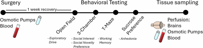 Fig. 4: Experimental design.