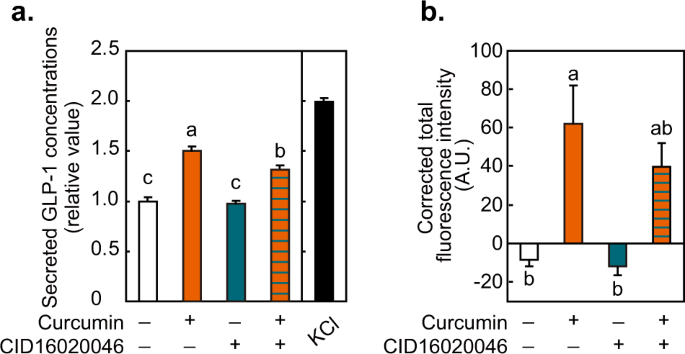 Identification of G protein-coupled receptor 55 (GPR55) as a target of  curcumin