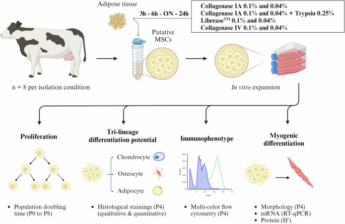 Fig. 6: Overview of the experimental design.
