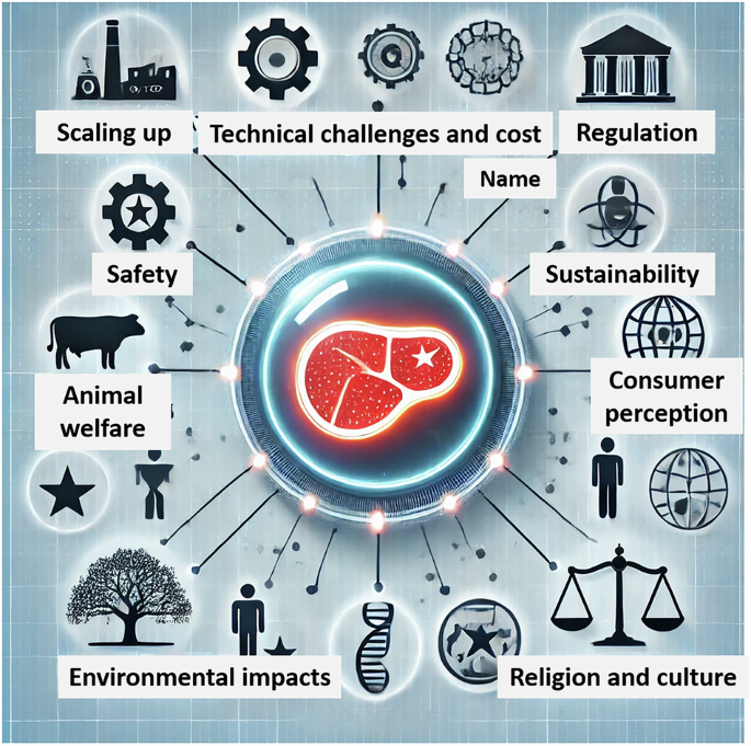 Fig. 1: Research gaps that need to be filled to better meet the expectations of cell-based food production.