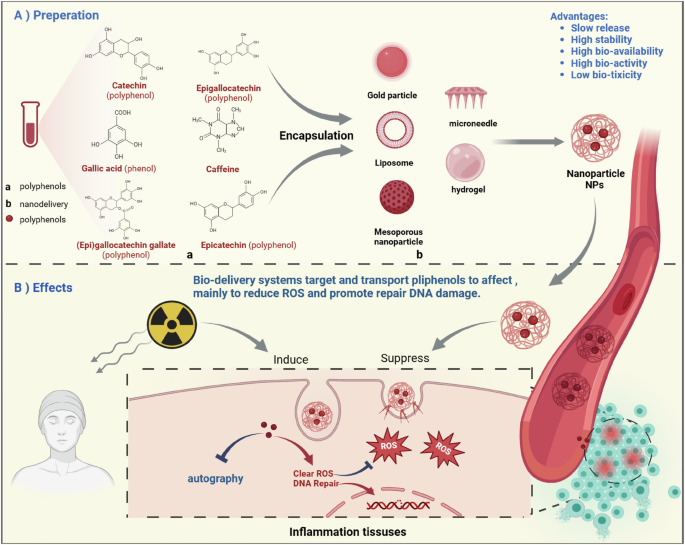Fig. 6: The types and advantages of delivery systems which encapsulate and deliver polyphenols to enhance radioprotection effects.