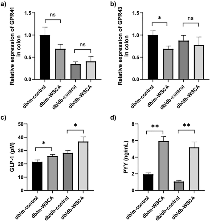 Fig. 5: Expression of Gpr41 and Gpr43 in the colon, and serum GLP-1 and PYY levels at 8 weeks after the administration.
