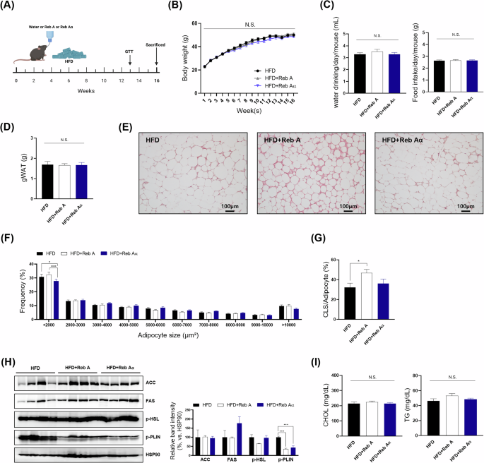 Fig. 3: Effect of Reb Aα on HFD-induced obesity.