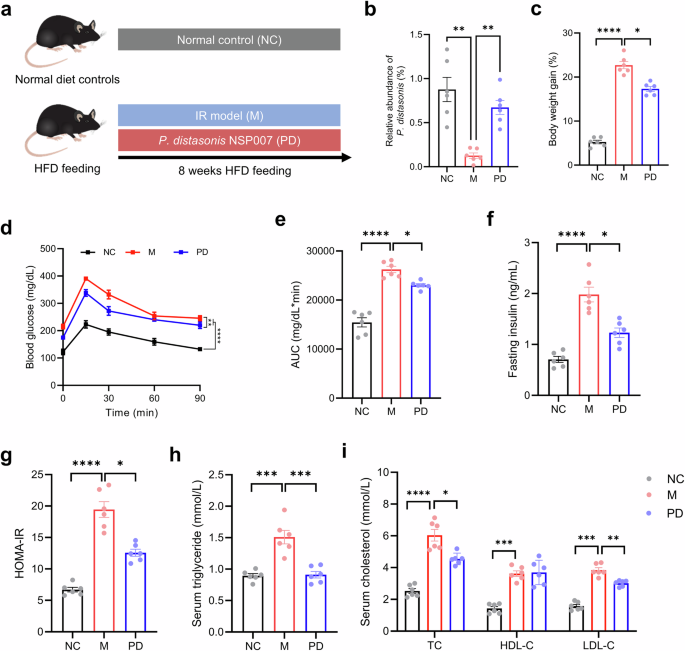 Fig. 1: Effects of P. distasonis on hyperglycemia and dyslipidemia in HFD-induced IR mice.