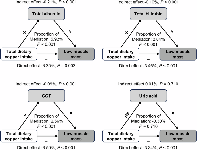 Fig. 3: Estimated mediating proportion of oxidative stress indicators on the association between dietary copper intake and low muscle mass.
