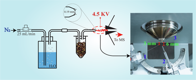 Fig. 3: Schematic illustration of VADCI-MS.