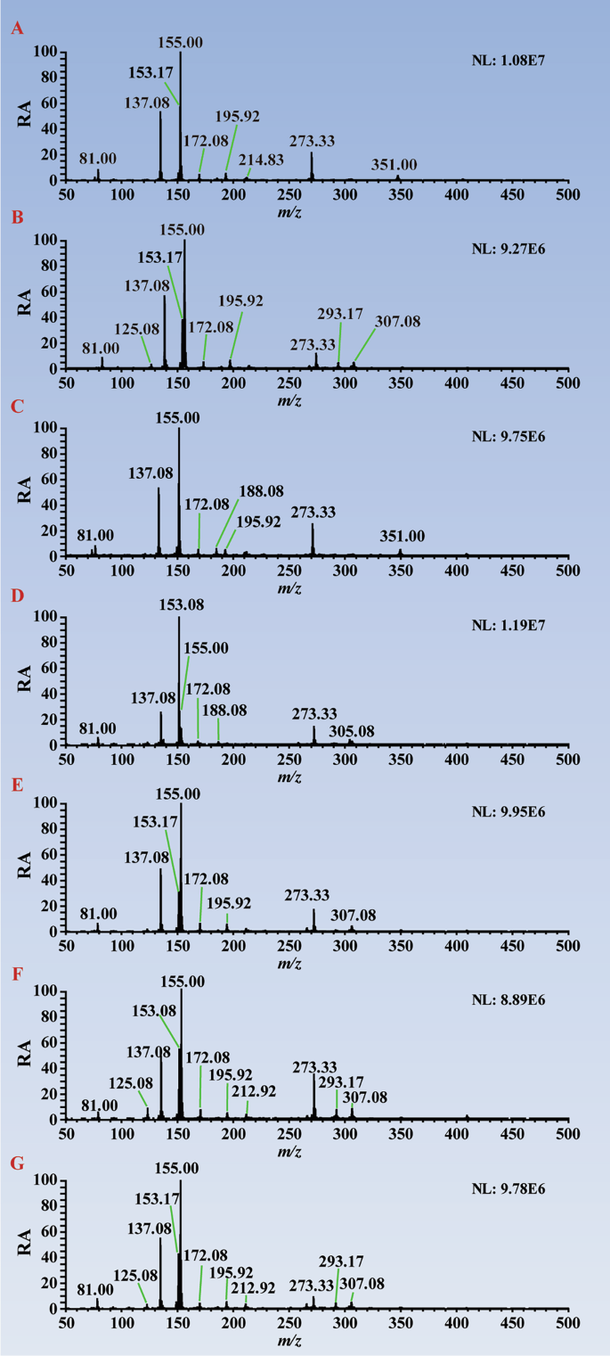 Fig. 5: Typical MS fingerprintings of different geographical origins of ZB analyzed by VADCI-MS.