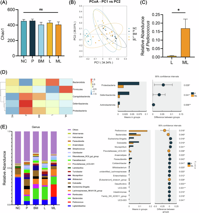 Fig. 7: The intestinal microbiota composition alternation after treatment of M-Li05 on DSS-induced colitis in mice.