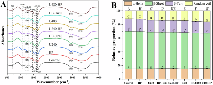 Fig. 2: Functional groups and secondary structure of soybean protein isolate treated with combined ultrasound and high pressure.