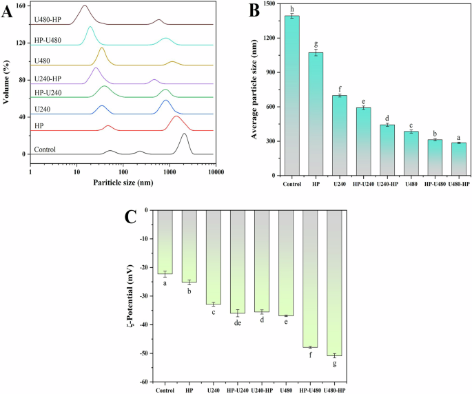 Fig. 4: Aggregation and dispersion of soybean protein isolate treated with combined ultrasound and high pressure.