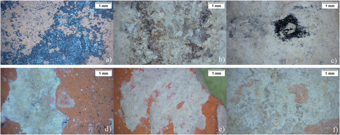 Fig. 2: Microscopic images of selected areas.