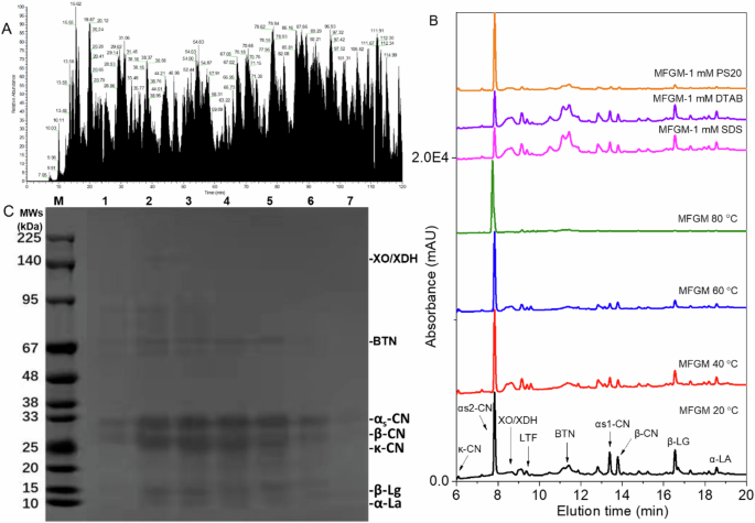 Fig. 1: Identification/annotation of MFGM proteins.