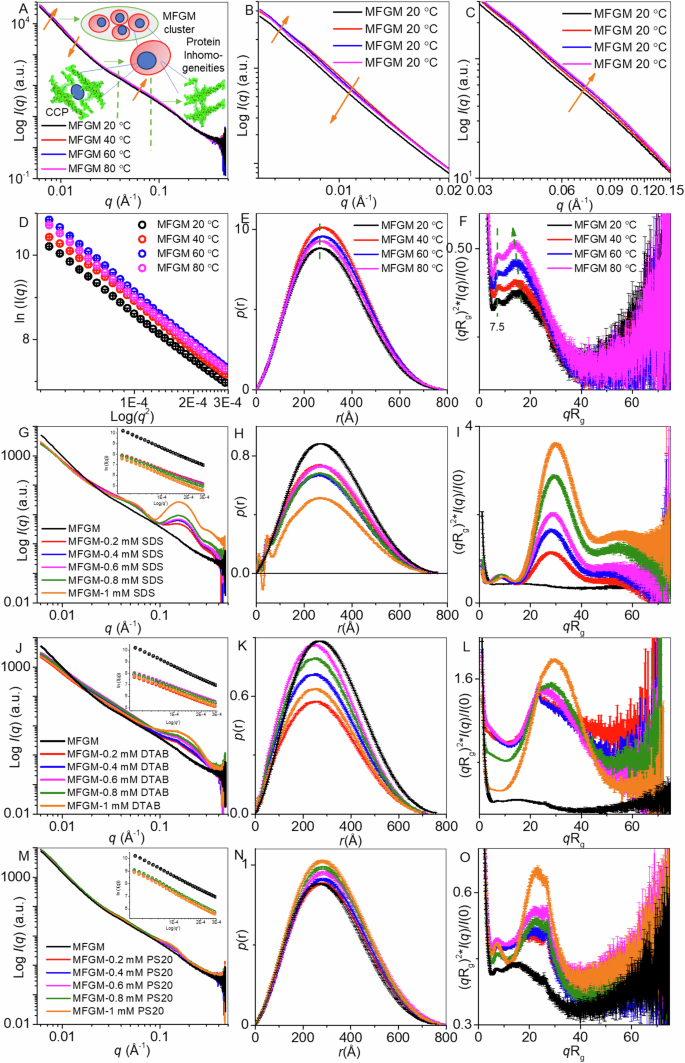 Fig. 5: Analysis of solution structural properties of MFGM proteins using SAXS.