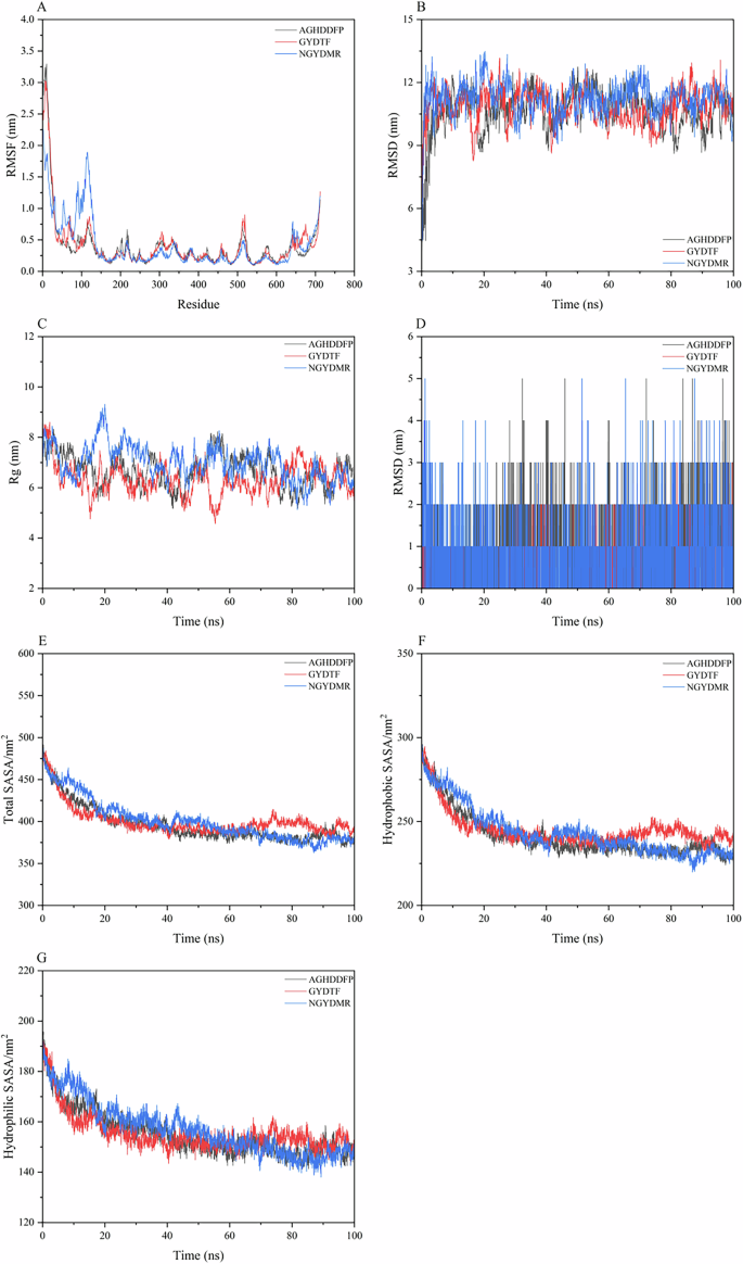 Fig. 5: The results of molecular dynamics.