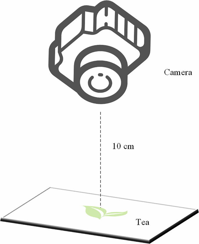 Fig. 4: Schematic diagram of the RGB image acquisition setup.