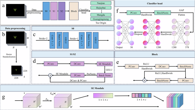 Fig. 8: Schematic architecture of the proposed Origin-Tea model.