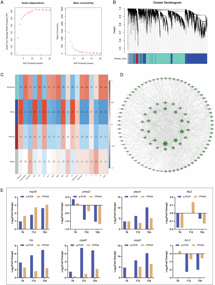 Fig. 5: Coexpression network analysis of weighted genes (WGCNA) between the fish transported at different times with the muscle quality.