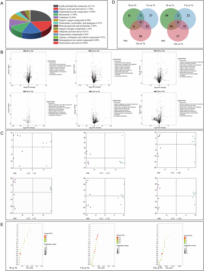 Fig. 6: Differential metabolites and their functional analysis in the muscle of silver carp during transportation.