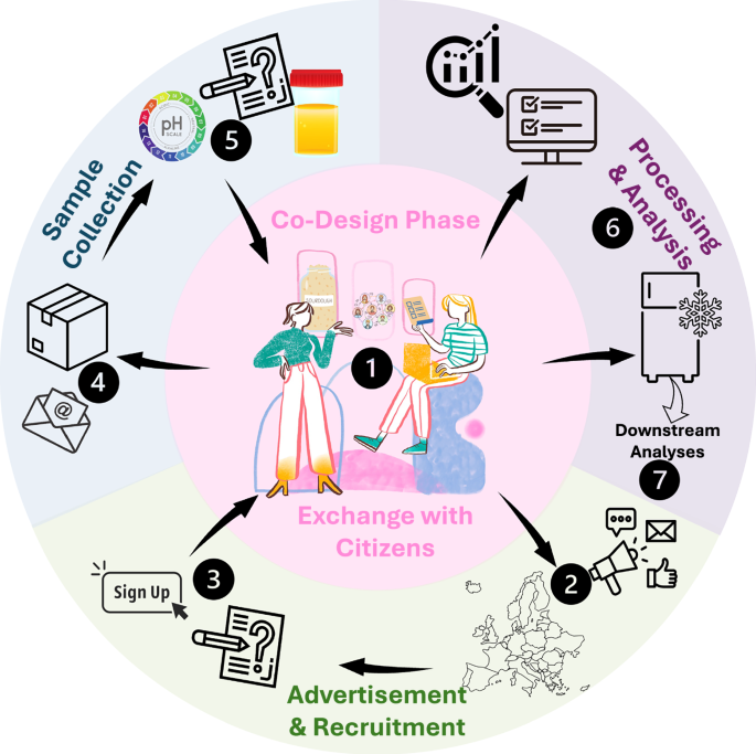 Fig. 1: Co-design-based study setup for conducting sourdough fermentation-related surveys and sampling sourdoughs across Europe.