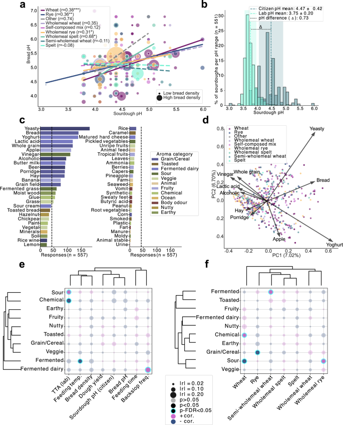 Fig. 5: Citizens’ contributions to sourdough characterisation and sensory profiling.
