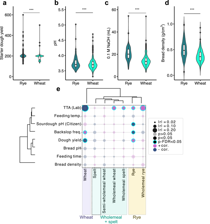 Fig. 6: Substrate-dependent variation in physicochemical properties and maintenance practices of sourdough and sourdough bread.