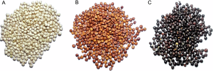 Fig. 2: Representative varieties of Quinoa Real were subjected to the present study.