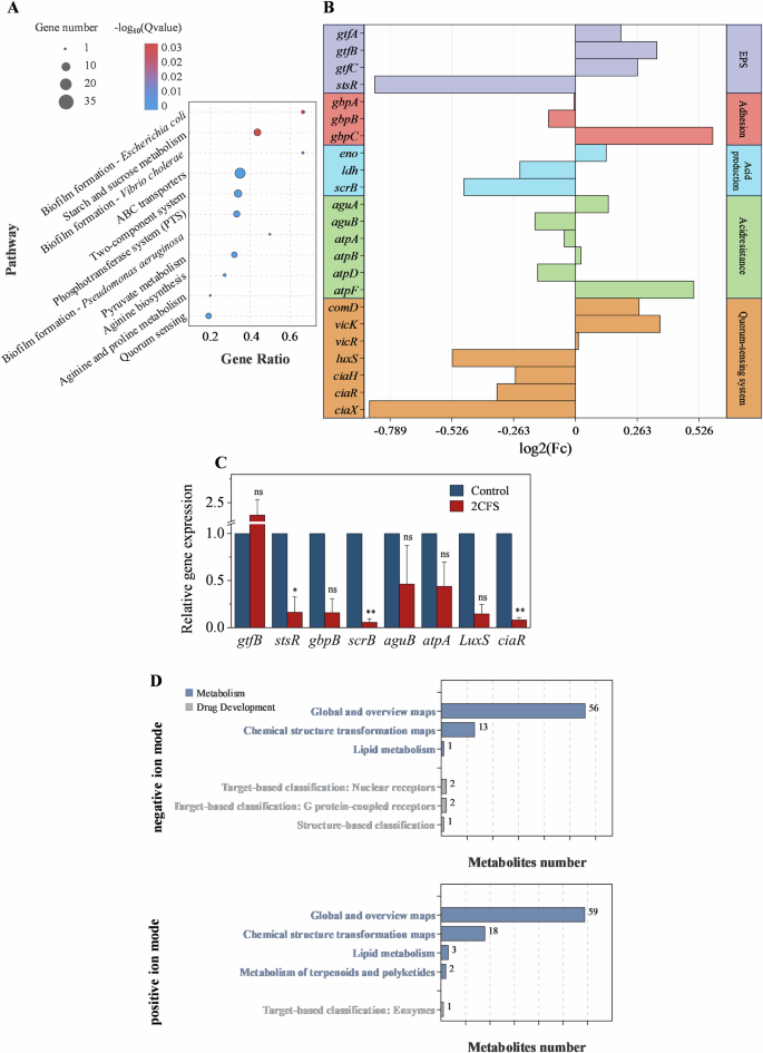 Fig. 4: KEGG pathway enrichment and differential analysis of DEGs and Metabolites in S. mutans.