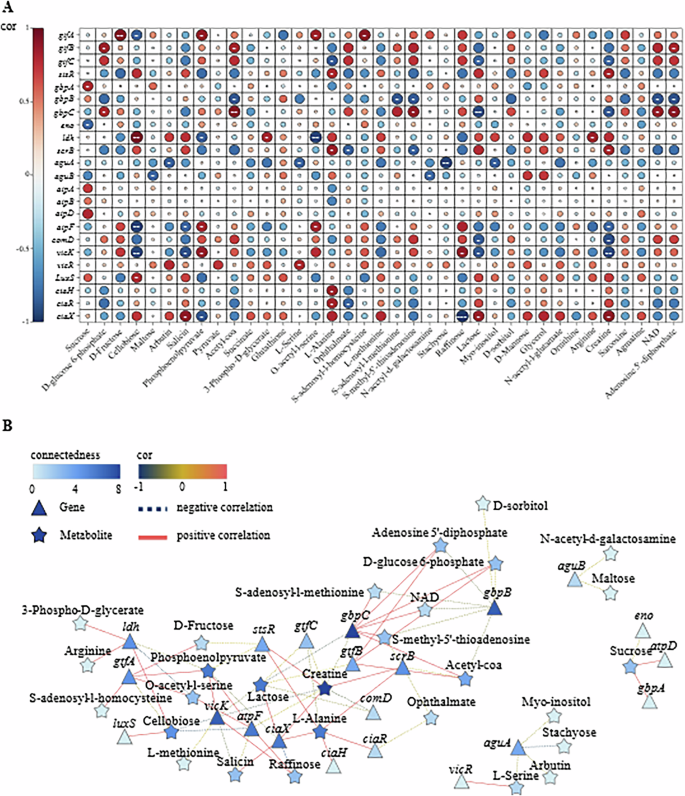 Fig. 5: Integrated Analysis of Transcriptomics and Metabolomics.