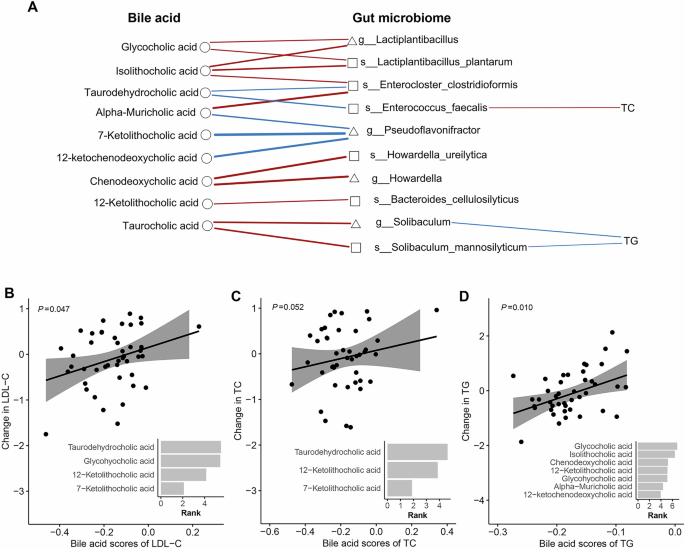 Fig. 2: Correlations among bile acids, gut microbiota, and blood lipid profiles in the LP group.