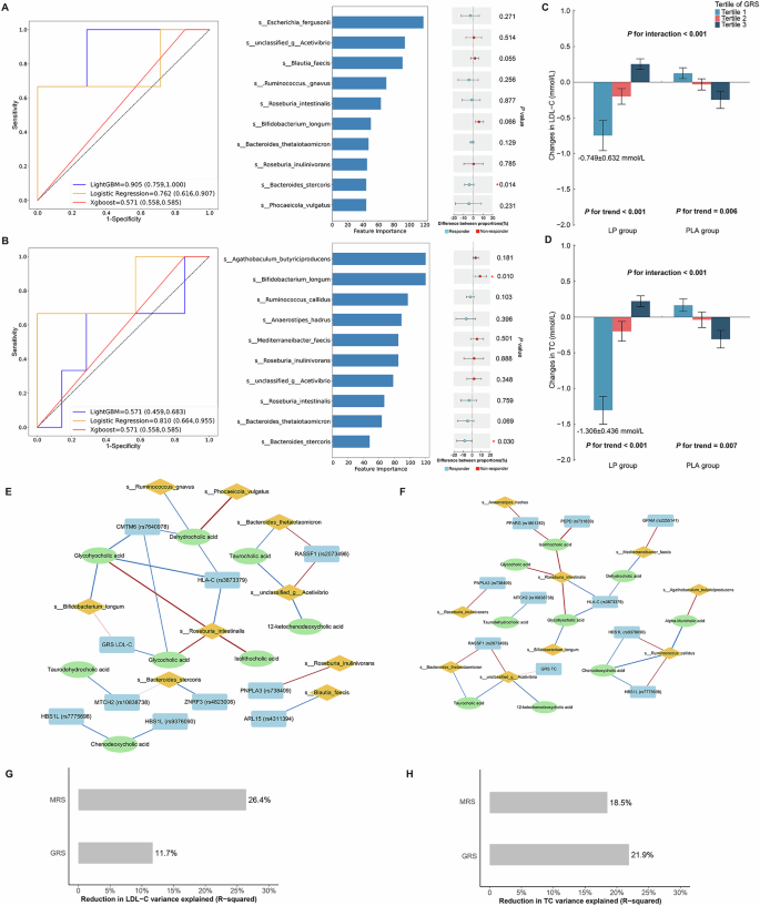 Fig. 3: The effect of gut microbiota and genetic background on blood lipid improvement by Lactiplantibacillus plantarum intervention.