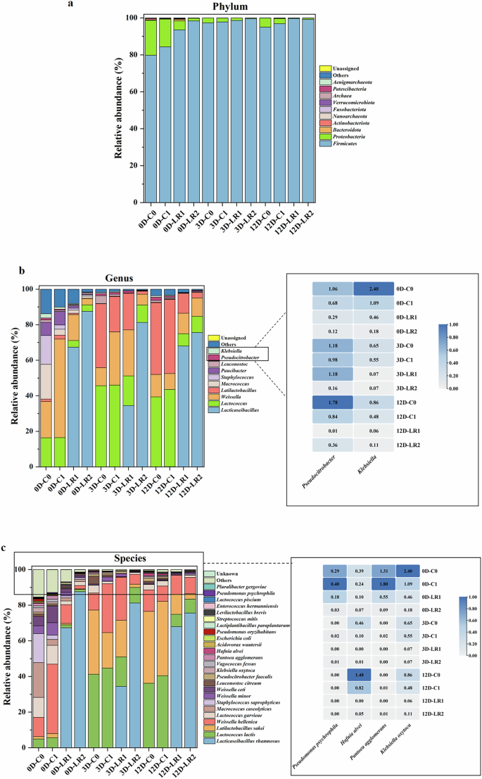 Fig. 4: Relative abundance of bacteria in dry fermented sausages during fermentation under different treatments.